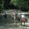 Image of Horseback Riding
