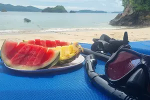 Tour image of Tortuga Island Private Full-Day Boat Tour