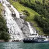 Image of Safaris