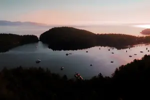 Tour image of Bioluminescence Kayak Tour in the San Juan Islands