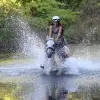 Image of Pack Animal Tours