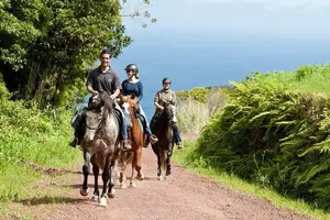 Tour image of Lusitano Trail - Horseback riding for beginners