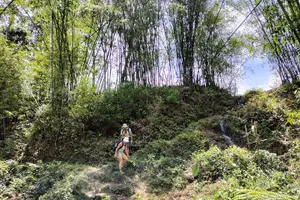 Tour image of From Sapa: 2-Day Homestay trekking Tour