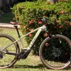 Image of Bike Rentals