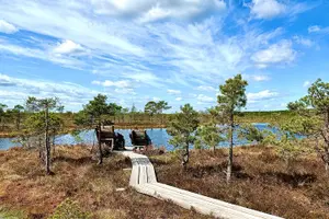 Tour image of Best of Latvia, Jurmala, Kemeri N Park, Kuldiga City, Food & More