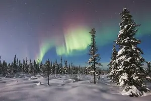 Tour image of Snowshoeing and Northern Lights Excursion in Kiruna