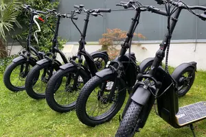Tour image of Versailles EN electric scooter - freedom & discovery