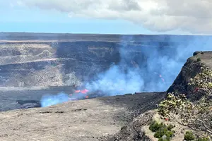 Tour image of Hawai'i's Volcanoes National Park from Hilo Only