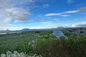 Tour image of 1 hrs ATV quad trip down with glacier river Northeast of Iceland