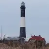 Image of Wildlife Watching