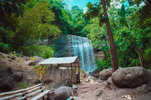 Tour image of Full Day Tour - Popular Sites Grenada, Belmont Estate, Rain Forest and More