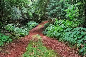 Tour image of Route DA Pico Island