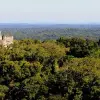 Image of In the Air