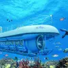 Image of Submarine Tours