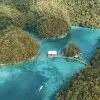 Image of Sightseeing Cruises