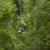 Image of Ziplining