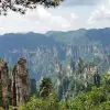 Image of Nature Walks