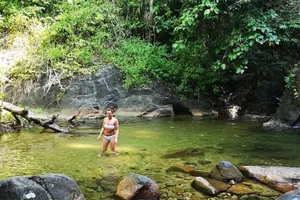 Tour image of Bamboo Rafting and Sea Turtle Conservation Center Half Day Tour From Khao Lak