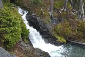 Tour image of Mt Rainier Private Tour Experience in SUV