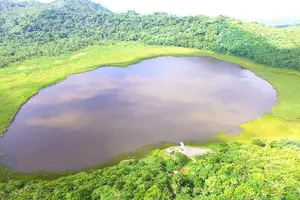 Tour image of Half-Day Grenada River Tubing -Grand Etang & Annandale Falls