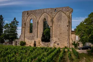 Tour image of Saint Emilion Half Day Ebike and Wine Tour with Picnic.