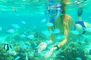 Tour image of Full Day Experience Guam Beach and Waterpark