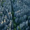 Image of Nature and Wildlife Tours