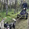 Image of Sledding