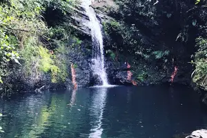 Tour image of Zip Lining + Tubing +Waterfall 30 minutes away From Palcencia