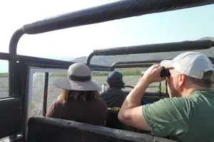 Tour image of Bird Watching Tour from Kusadasi
