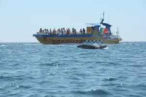 Tour image of Albufeira Dreamer Boat Trip