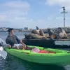 Image of Whale Watching