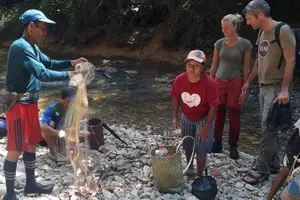 Tour image of 3 days 2 nights Batang Ai Iban Longhouse & Semenggoh Wildlife Centre