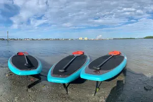 Tour image of Dolphin and Manatee Adventure Tour of Naples with Florida History