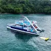 Image of Catamaran Cruises