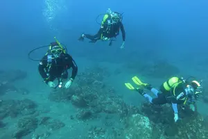 Tour image of Scuba Diving