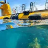 Image of Submarine Tours