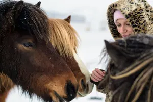 Tour image of Deacon Horse Riding Tour
