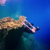 Image of Freediving