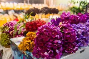 Tour image of Bangkok by Night: Temples, Markets and Food Tuk-Tuk Tour