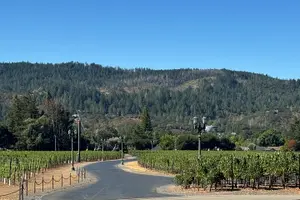 Tour image of Napa Valley Luxury Wine Tours & Car Services