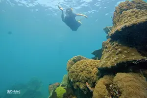Tour image of 4 Islands & 2 Reefs - Discovery Snorkeling & Relaxing (MAX 12)
