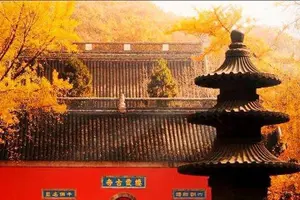 Tour image of Private In-Depth Day Tour of Nanjing Purple Mountain with Lunch