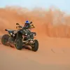 Image of Mountain Bike Tours
