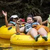 Image of Eco Tours