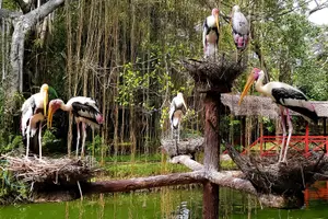 Tour image of Penang Bird Park Ticket