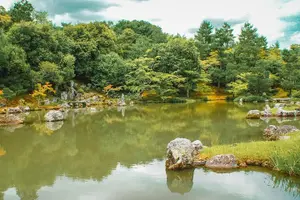 Tour image of Kyoto: Arashiyama Bamboo Forest, Monkeys, Matcha & Temple Tour