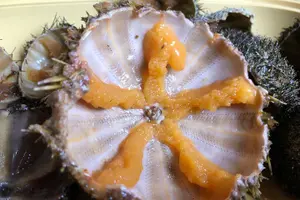 Tour image of Bohol: Island Hopping