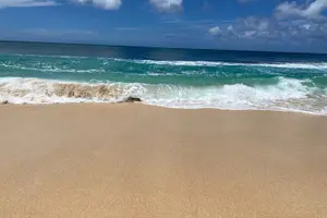 Tour image of Diamond Head Hiking and Oahu Island Experience feat. North Shore
