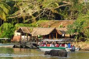 Tour image of Klias Wildlife Safari River Cruise - Proboscis Monkey & Fireflies